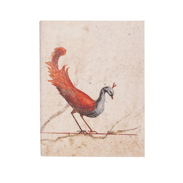 Peacock Pocket Diary Set Of 2