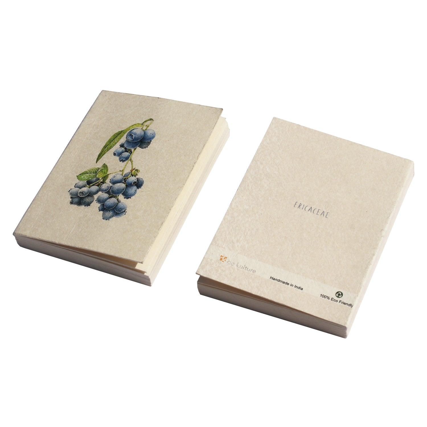 Blueberry Botanical Illustration Pocket Diary Set Of 2 - DeKulture DKW-1079-PD