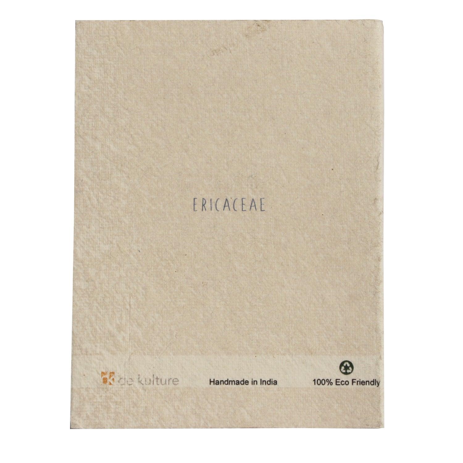 Blueberry Botanical Illustration Pocket Diary Set Of 2 - DeKulture DKW-1079-PD