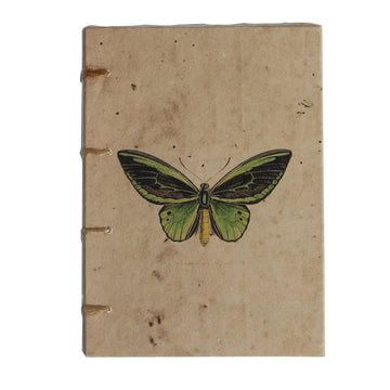 Vintage Butterfly Artwork Journal - DeKulture DKW-1143-J