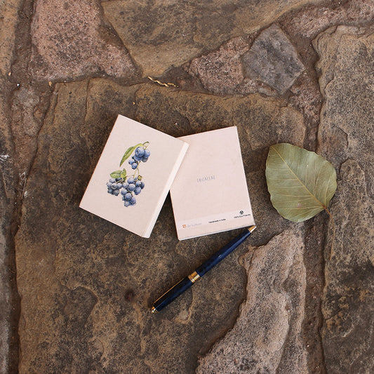 Blueberry Botanical Illustration Pocket Diary Set Of 2