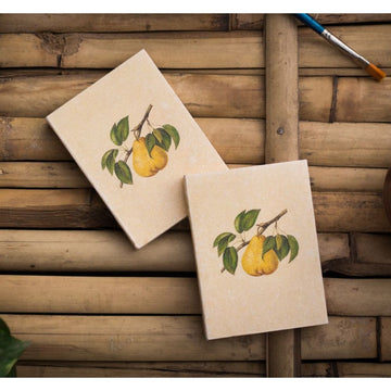 Fruit Pocket Diary Set Of 2