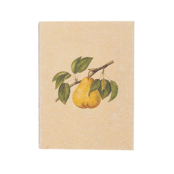 Fruit Pocket Diary Set Of 2