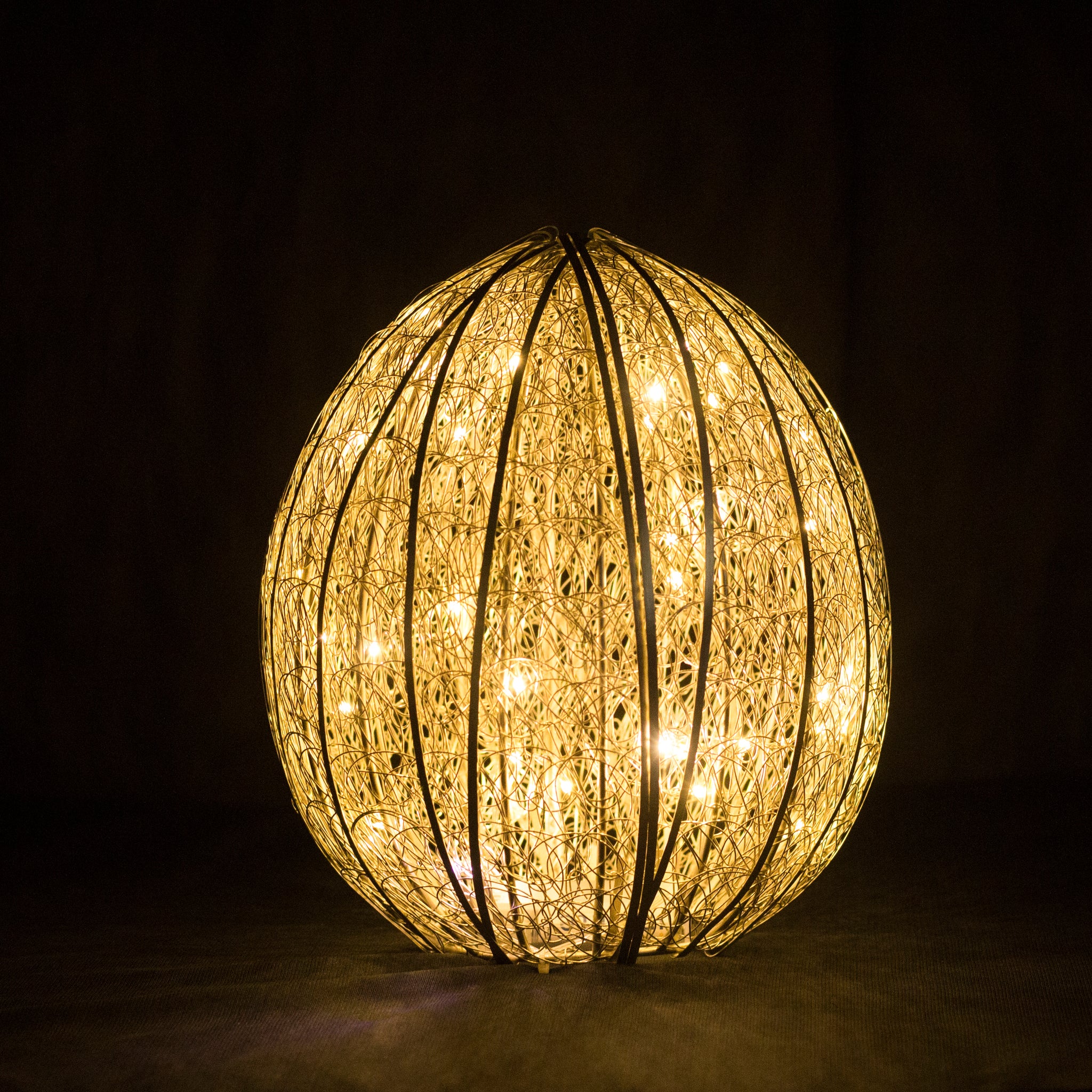 Hanging Egg LED Lamp