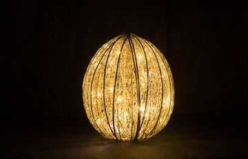 Hanging Egg LED Lamp