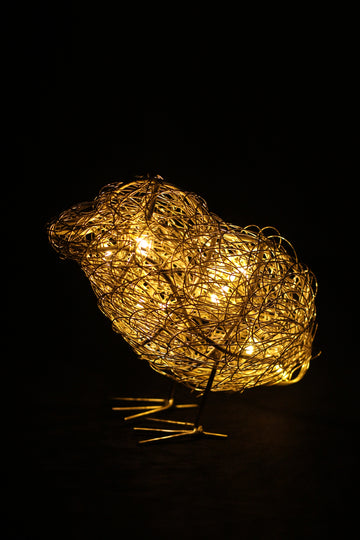 Table LED Lamp Chick