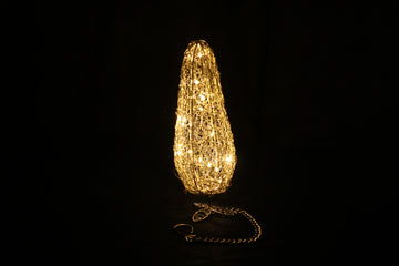Hanging LED Carrot Shaped 