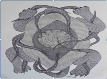 Facet of a Tortoise