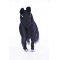 Black Horse Decoration Ornament - DeKulture DKW-5072-FT