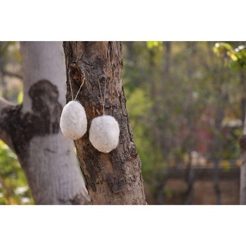 Hanging Egg Ornaments Set Of 2