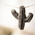 Needle Felted Cactus Garland - DeKulture DKW-6135-FO