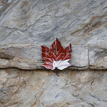 Recycled Leaf Wall Mount